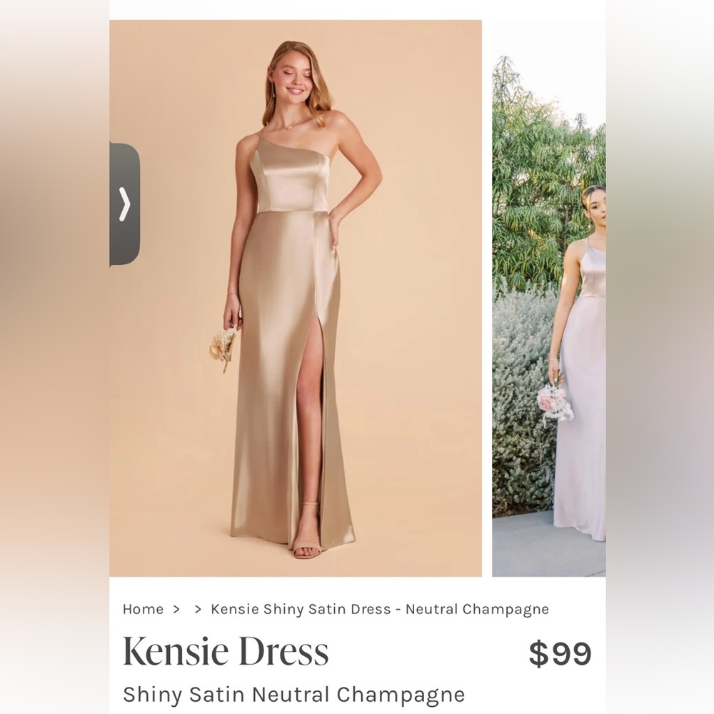 Birdy Grey One Shoulder Dress Neutral Champagne (Shiny Satin)